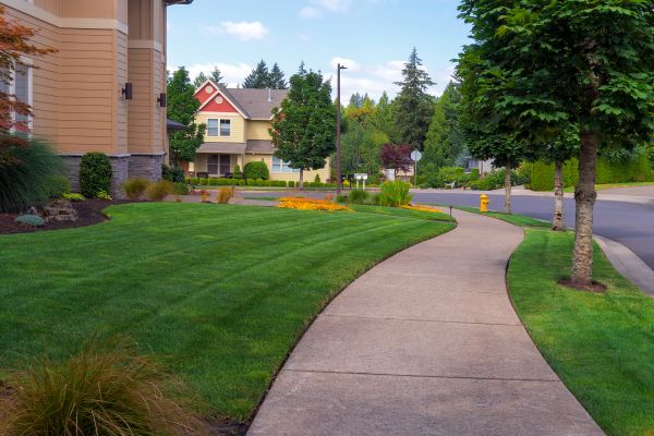 Cost of Sidewalk Patching in Garner