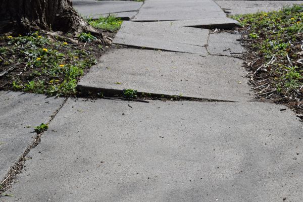 Cost of Trip Hazard Removal in Garner